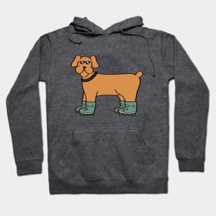 Rollerskater Dog Hoodie